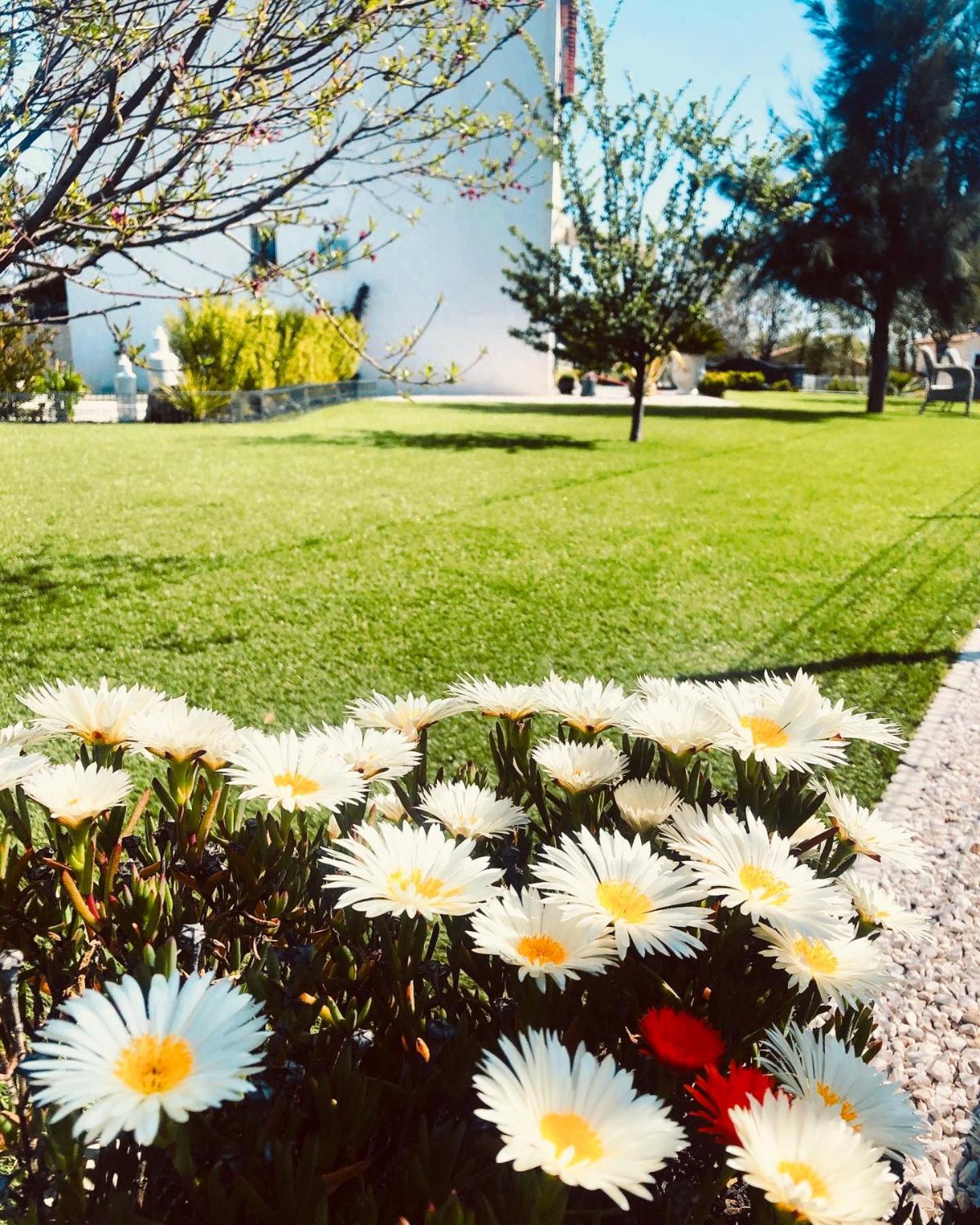 Villa Maolo 2 Roquebrune-sur Argens Extérieur photo